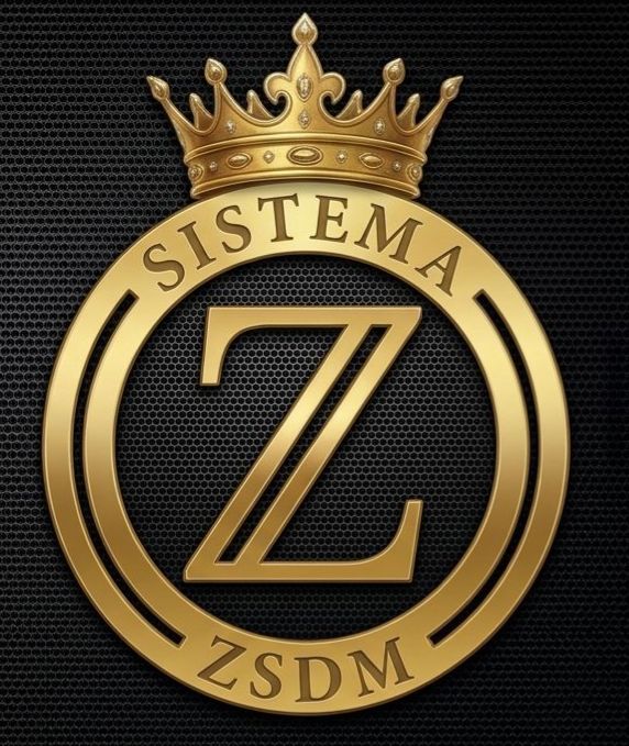 Captura de la plataforma ZSDMSistema — 01 marca